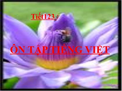 Bài giảng môn Ngữ văn Lớp 7 - Tiết 123: Ôn tập Tiếng Việt