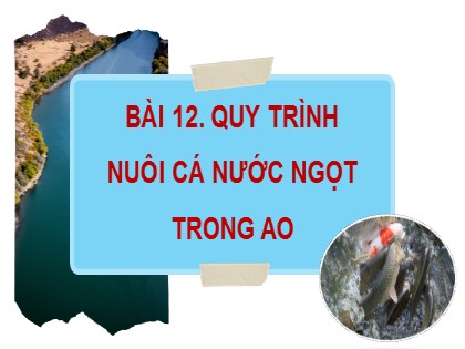 Bài giảng Công nghệ Lớp 7 Sách Cánh diều - Bài 12: Quy trình nuôi cá nước ngọt trong ao