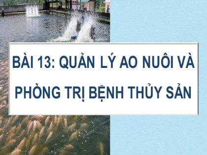 Bài giảng Công nghệ Lớp 7 Sách Cánh diều - Bài 13: Quản lý ao nuôi và phòng trị bệnh thủy sản