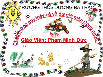 Bài giảng Công nghệ Lớp 7 Sách Chân trời sáng tạo - Bài 6: Rừng ở Việt Nam - Phạm Minh Đức