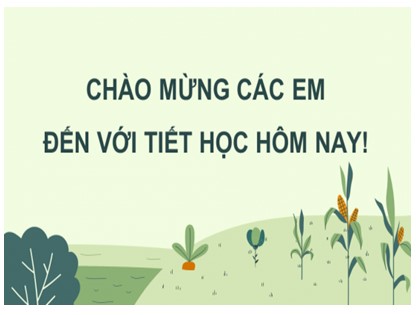 Bài giảng Công nghệ Lớp 7 Sách Chân trời sáng tạo - Chương 4, Bài 8: Nghề chăn nuôi ở Việt Nam