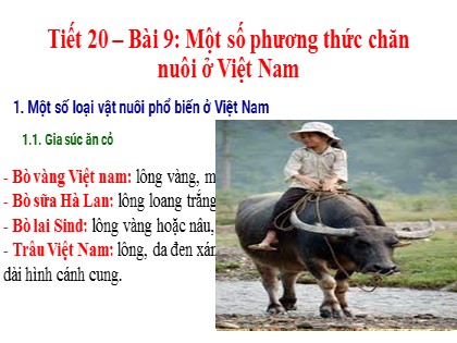 Bài giảng Công nghệ Lớp 7 Sách Chân trời sáng tạo - Tiết 20, Bài 9: Một số phương thức chăn nuôi ở Việt Nam