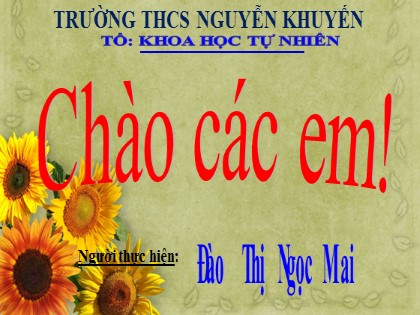 Bài giảng Khoa học tự nhiên Khối 7 Sách Chân trời sáng tạo - Bài 13: Độ to và độ cao của âm - Đào Thị Ngọc Mai