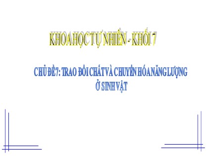 Bài giảng Khoa học tự nhiên Lớp 7 Sách Chân trời sáng tạo - Tiết 82+83, Bài 22: Vai trò của trao đổi chất và chuyển hóa năng lượng ở sinh vật