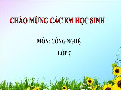 Bài giảng Công nghệ 7 (Kết nối tri thức) - Tiết 13, Bài 6: Dự án trồng rau an toàn