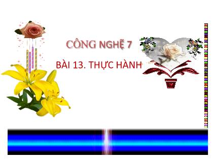 Bài giảng Công nghệ 7 (Kết nối tri thức) - Tiết 28, Bài 13: Lập kế hoạch nuôi vật nuôi trong gia đình (tiết 1)