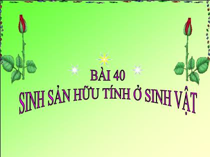 Bài giảng Khoa học tự nhiên 7 (Cánh diều) - Bài 40: Sinh sản hữu tính ở sinh vật