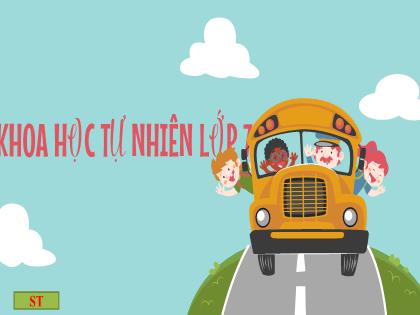 Bài giảng Khoa học tự nhiên 7 (Kết nối tri thức) - Bài 11: Thảo luận về ảnh hưởng của tốc độ trong an toàn giao thông (tiết 1)