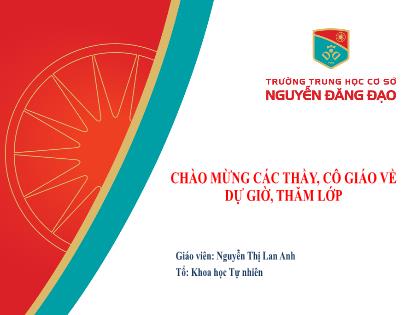 Bài giảng Khoa học tự nhiên 7 (Kết nối tri thức) - Bài 13: Độ cao và độ to của âm (Tiết 2) - Nguyễn Thị Lan Anh