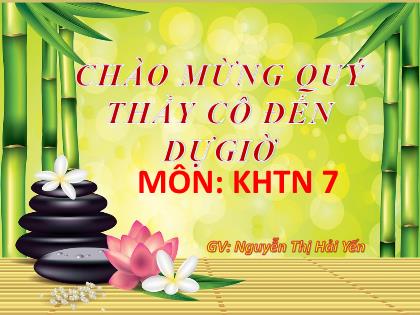 Bài giảng Khoa học tự nhiên 7 (Kết nối tri thức) - Bài 15: Năng lượng ánh sáng, tia sáng, vùng tối - Nguyễn Thị Hải Yến