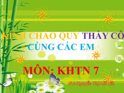 Bài giảng Khoa học tự nhiên 7 (Kết nối tri thức) - Bài 16: Sự phản xạ ánh sáng - Nguyễn Thị Hải Yến