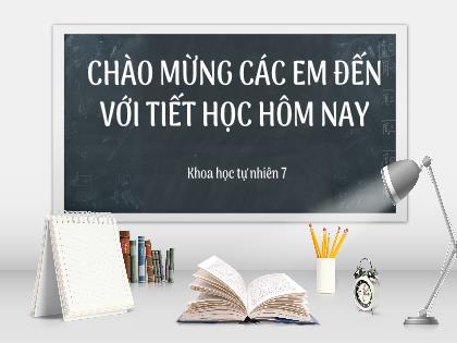 Bài giảng Khoa học tự nhiên 7 (Kết nối tri thức) - Bài 21: Khái niệm trao đổi chất và chuyển hóa năng lượng