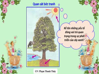 Bài giảng Khoa học tự nhiên 7 (Kết nối tri thức) - Bài 30: Trao đổi nước và chất dinh dưỡng ở thực vật