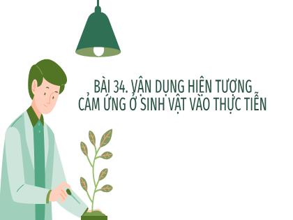 Bài giảng Khoa học tự nhiên 7 (Kết nối tri thức) - Bài 34: Vận dụng hiện tượng cảm ứng ở sinh vật vào thực tiện (tiếp theo)