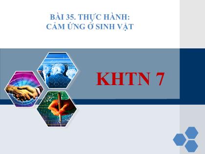 Bài giảng Khoa học tự nhiên 7 (Kết nối tri thức) - Bài 35: Thực hành Cảm ứng ở sinh vật