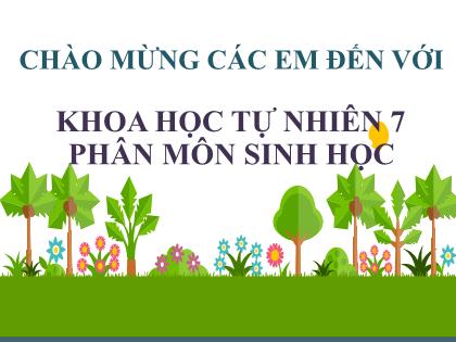 Bài giảng Khoa học tự nhiên 7 (Kết nối tri thức) - Bài 36: Khái quát về sinh trưởng và phát triển ở sinh vật (2 tiết)