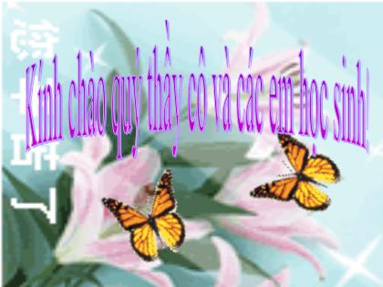 Bài giảng Khoa học tự nhiên 7 (Kết nối tri thức) - Bài 38: Thực hành: Quan sát, mô tả sự sinh trưởng và phát triển ở một số sinh vật