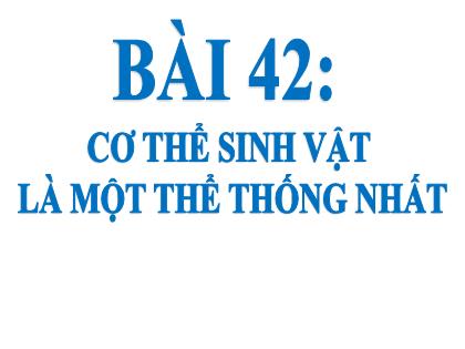 Bài giảng Khoa học tự nhiên 7 (Kết nối tri thức) - Bài 42: Cơ thể sinh vật là một thể thống nhất