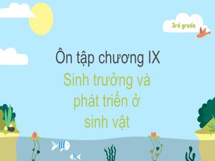 Bài giảng Khoa học tự nhiên 7 (Kết nối tri thức) - Ôn tập Chương 9