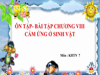 Bài giảng Khoa học tự nhiên 7 (Kết nối tri thức) - Ôn tập Chương 8