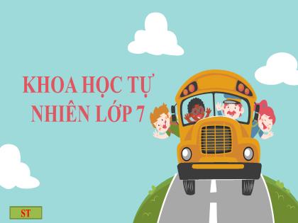 Bài giảng Khoa học tự nhiên 7 (Kết nối tri thức) - Tiết 11, Bài 11: Thảo luận về ảnh hưởng của tốc độ trong an toàn giao thông