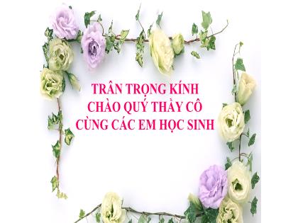 Bài giảng Khoa học tự nhiên 7 (Kết nối tri thức) - Tiết 12, Bài 11: Thảo luận về ảnh hưởng của tốc độ trong an toàn giao thông