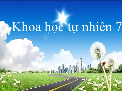 Bài giảng Khoa học tự nhiên 7 (Kết nối tri thức) - Tiết 15: Ôn tập học kì 1