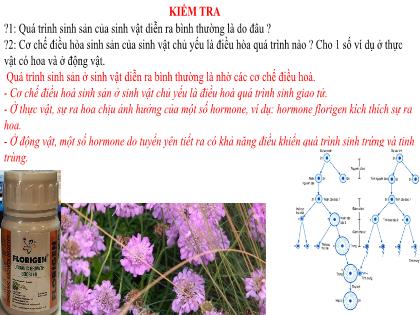 Bài giảng Khoa học tự nhiên 7 (Kết nối tri thức) - Tiết 56, Bài 41: Một số yếu tố ảnh hưởng và điều hòa, điều khiển sinh sản ở sinh vật (tiết 2)