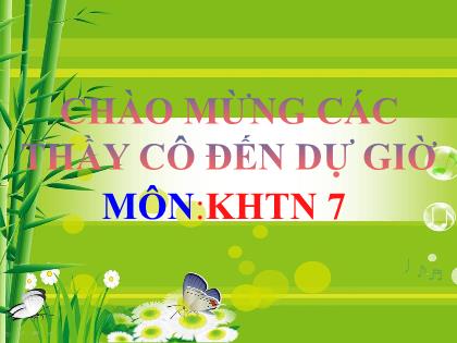 Bài giảng Khoa học tự nhiên Lớp 7 (Kết nối tri thức) - Bài 14: Phản xạ âm chống ô nhiễm tiếng ồn