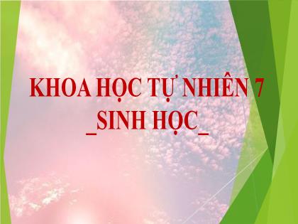 Bài giảng Khoa học tự nhiên Lớp 7 (Kết nối tri thức) - Bài 21: Khái quát về trao đổi chất và chuyển hóa năng lượng