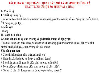 Bài giảng Khoa học tự nhiên Lớp 7 (Kết nối tri thức) - Tiết 46, Bài 38: Thực hành: Quan sát, mô tả sự sinh trưởng và phát triển ở một số sinh vật (tiết 2)