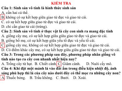 Bài giảng Khoa học tự nhiên Lớp 7 (Kết nối tri thức) - Tiết 49, Bài 39: Sinh sản vô tính ở sinh vật (tiết 3)