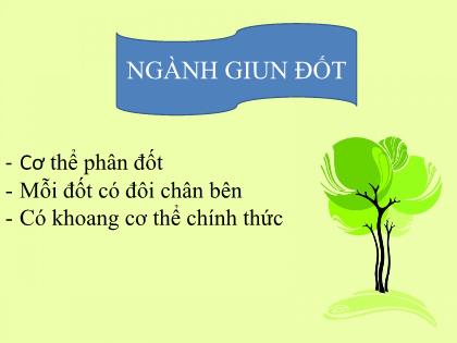 Bài giảng Sinh học 7 - Tiết 14: Giun đất. Một số giun đốt khác và đặc điểm chung của ngành giun đốt