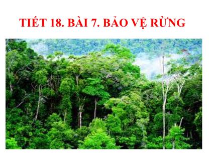 Bài giảng Công nghệ 7 (Cánh diều) - Tiết 18 - Bài 7: Bảo vệ rừng - Trường THCS Tràng Cát