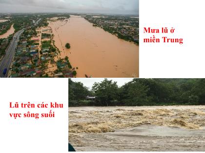 Bài giảng Công nghệ 7 (Kết nối tri thức) - Chương 2 - Bài 7: Giới thiệu về rừng - Trường THCS Đằng Lâm