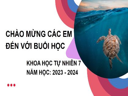 Bài giảng Khoa học tự nhiên 7 (Cánh diều) - Bài 28: Tập tính ở động vật - Trường THCS Tràng Cát