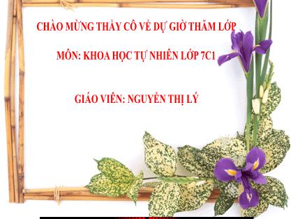 Bài giảng Khoa học tự nhiên 7 (Cánh diều) - Chủ đề 7: Tính chất từ của chất - Trường THCS Tràng Cát