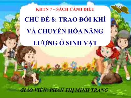 Bài giảng Khoa học tự nhiên 7 (Cánh diều) - Chủ đề 8: Trao đổi khí và chuyển hóa nặng lượng ở sinh vật - Phan Thị Minh Trang