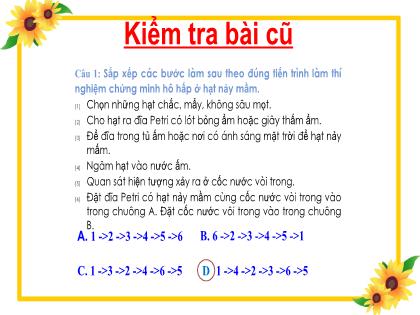 Bài giảng Khoa học tự nhiên 7 (Kết nối tri thức) - Bài 28: Trao đổi khí ở sinh vật - Trường THCS Đông Hải