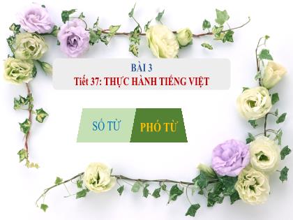 Bài giảng Ngữ Văn 7 (Cánh diều) - Bài: Thực hành tiếng việt Số từ, phó từ - Trường THCS Nguyễn Chuyên Mỹ