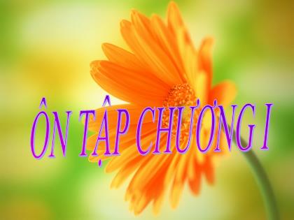 Bài giảng Toán 7 - Hình học - Bài: Ôn tập chuong 1 - Trường THCS Quán Toan